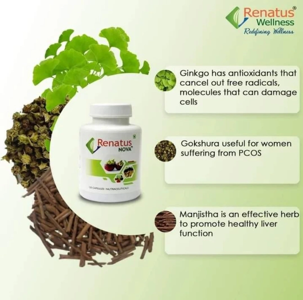 61vsLN6sfYL_SL1078_-1752908272287