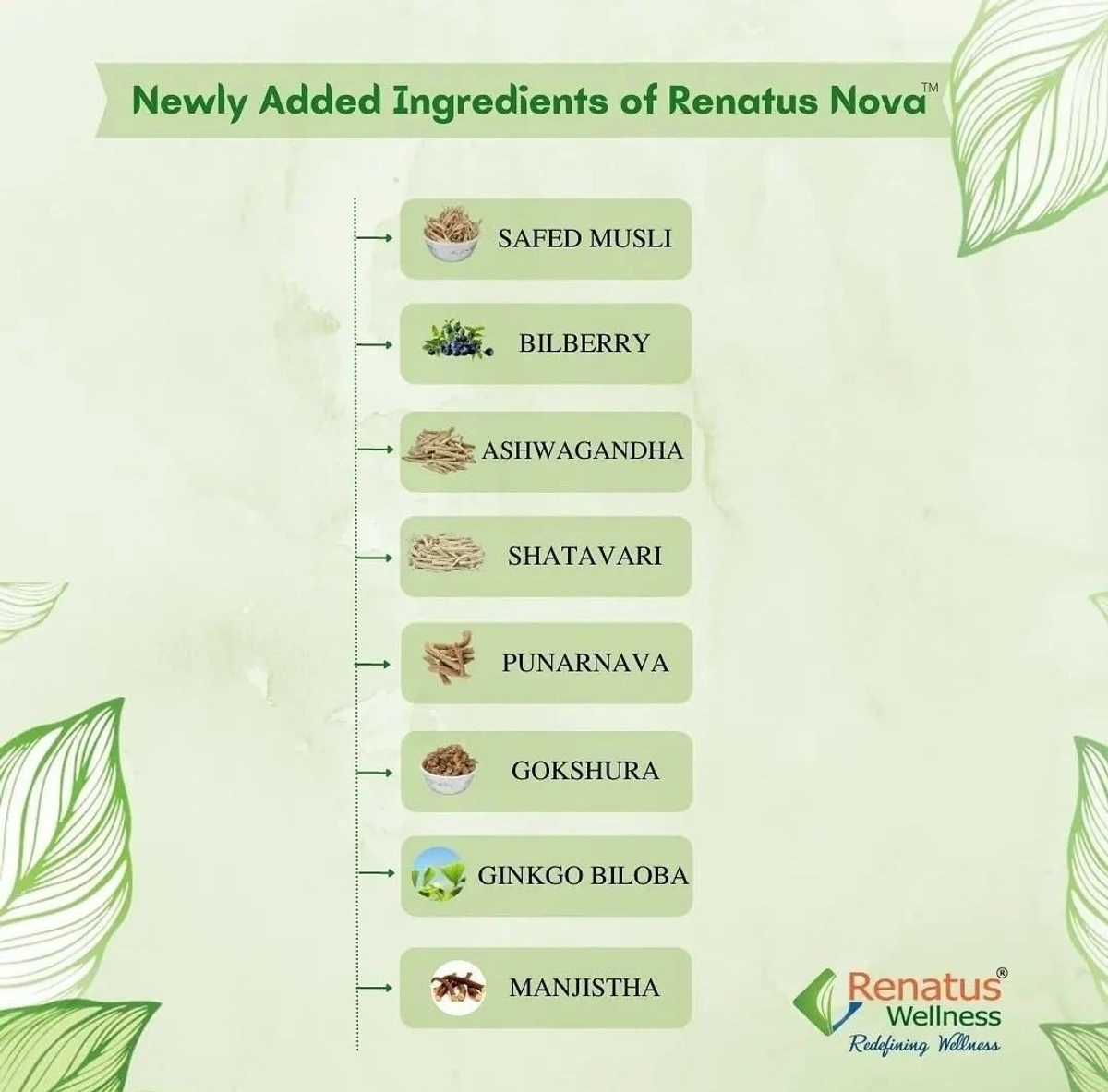 61waKZ8z5nL_SL1078_-1752908271138